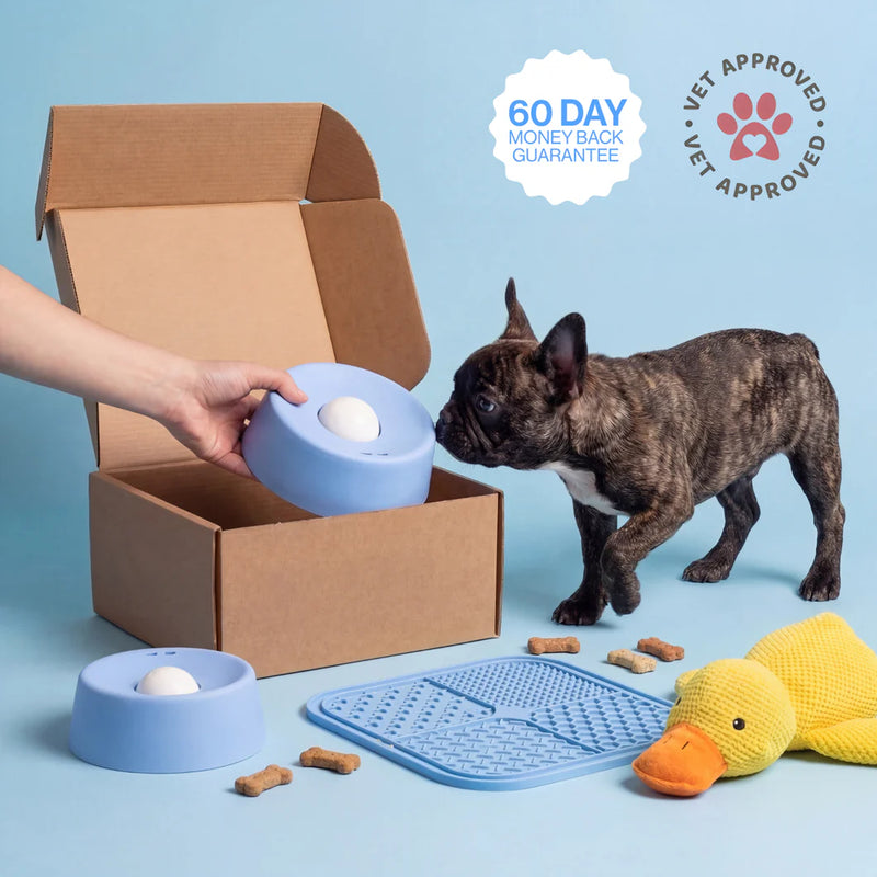 The anxiety bowl that saves your home not just your nerves