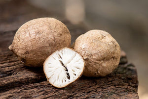 Pueraria