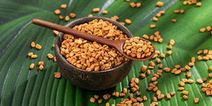 Fenugreek